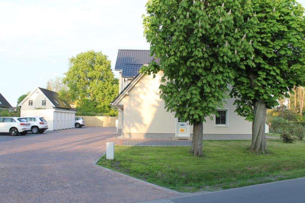 Neue Reihe 28 - Wohnung Vogelnest Zingst Extérieur photo